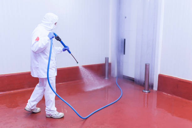 Best Sidewalk and Walkway Cleaning  in China, TX